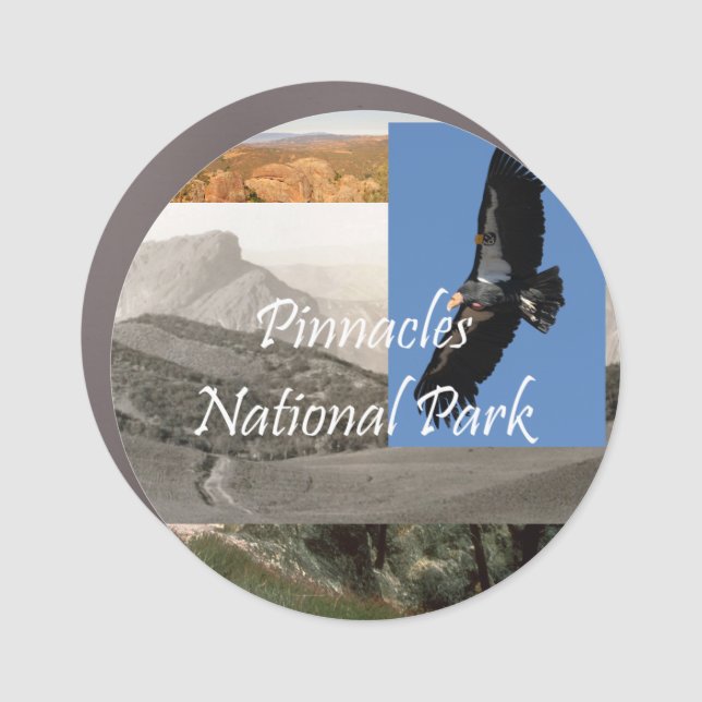 TEE Pinnacles National Park Car Magnet (Front)
