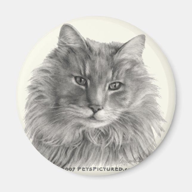 TeeGee, Long-Haired Gray Cat Magnet (Front)