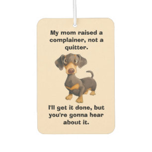 Teenager Gift Air Freshener