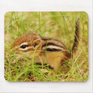 Teeny Tiny Baby Chipmunk Mouse Pad