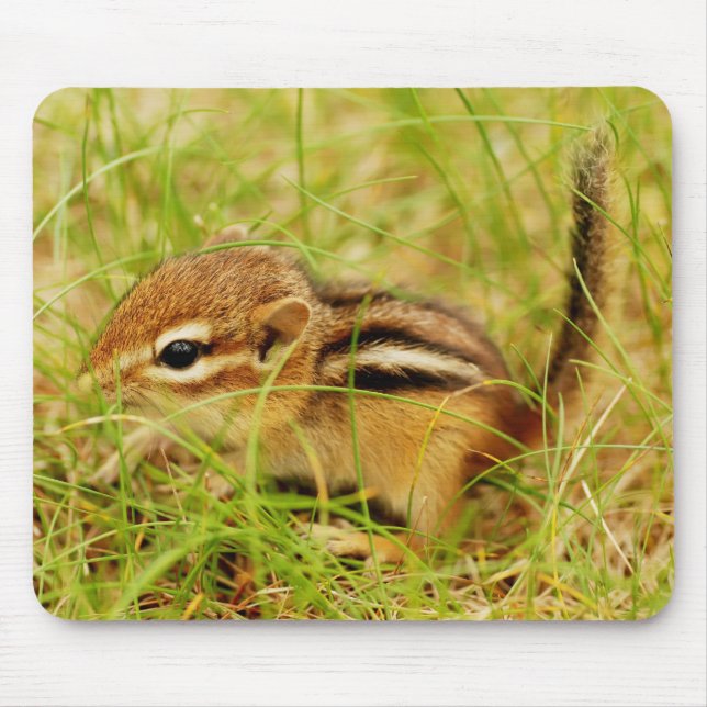 Teeny Tiny Baby Chipmunk Mouse Pad (Front)