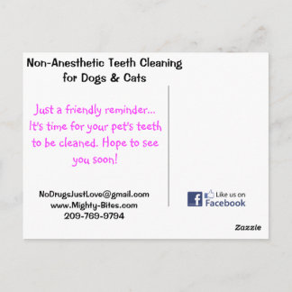 Teeth Cleaning Reminder Postcard