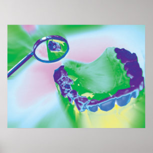 Teeth Model Dental Care Dentist Poster