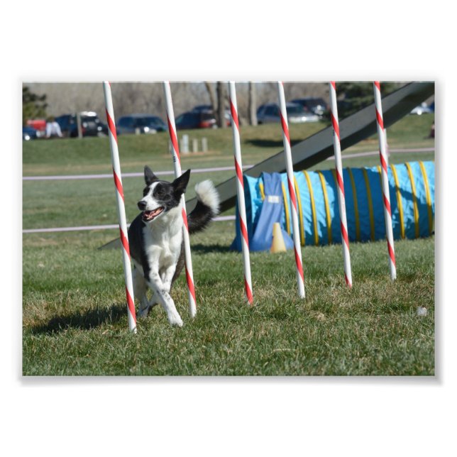 TeeVee Photo Print (Front)