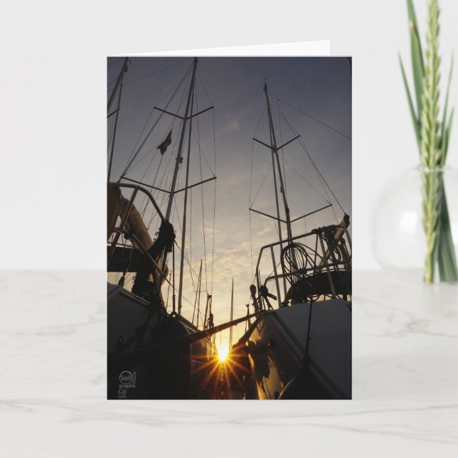 Tegenlicht bij 2 zeilboten in de haven. card (Front)