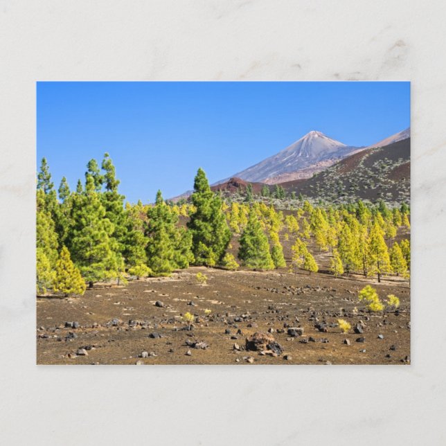 Teide National Park Landscape in Tenerife Postcard (Front)