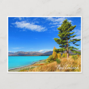 tekapo new zealand postcard