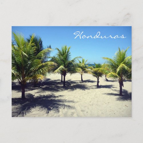 tela palms postcard