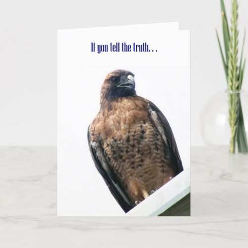 Tell the Truth Hawk Photo Greeting Card