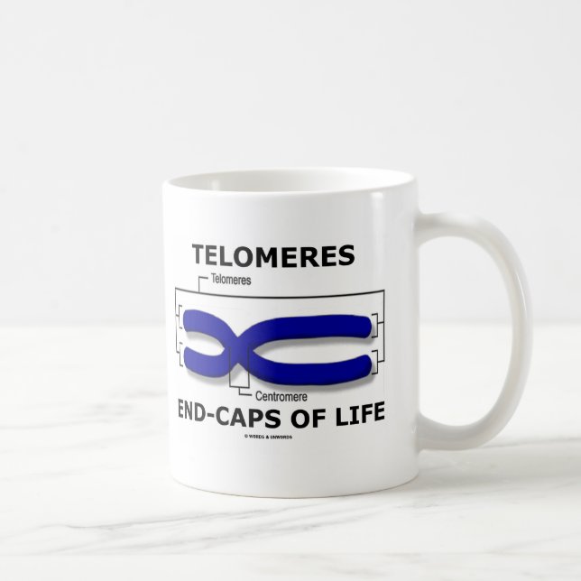 Telomeres End-Caps Of Life (Biology Humor) Coffee Mug (Right)