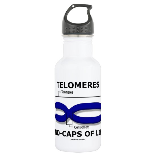 Telomeres End-Caps Of Life (Biology Humor) Stainless Steel Water Bottle
