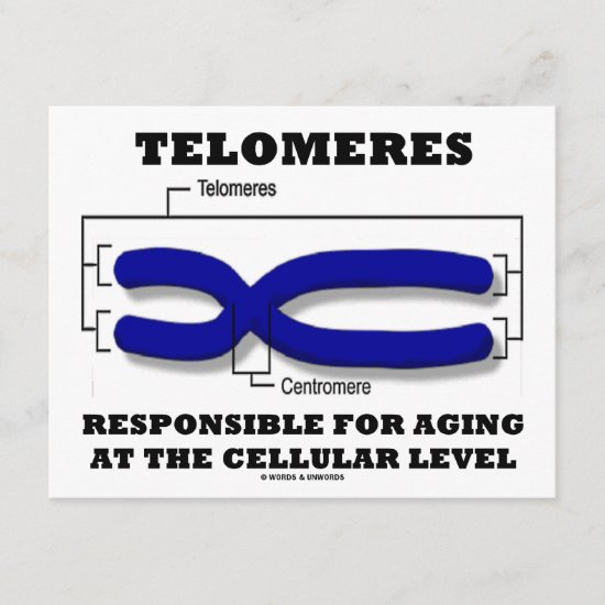 Telomeres Responsible For Aging At Cellular Level Card