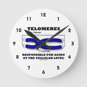 Telomeres Responsible For Aging At Cellular Level Round Clock