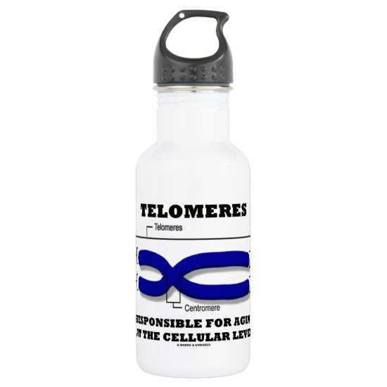 Telomeres Responsible For Aging At Cellular Level Stainless Steel Water Bottle
