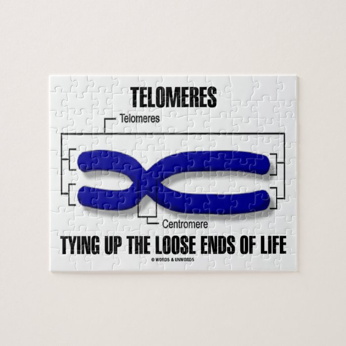 Telomeres Tying Up The Loose Ends Of Life Jigsaw Puzzle