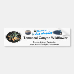 Temescal Wild Flower Bumper Sticker