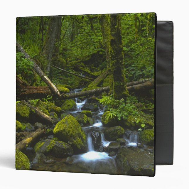 Temperate Rainforest Stream in Columbia River 3 Ring Binder (Front/Inside)