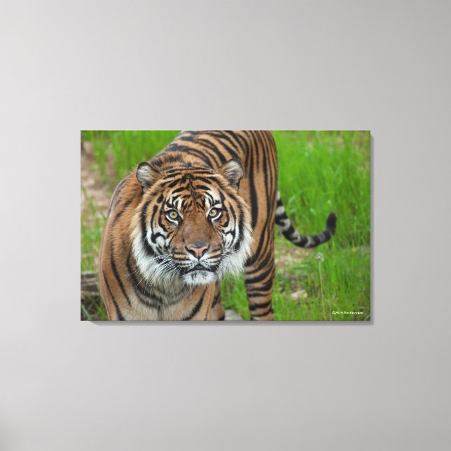 template canvas print (Front)