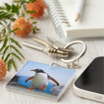 Template Custom Gifts Add Your Own Image Photo