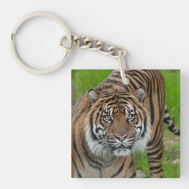 template keychain (Front)