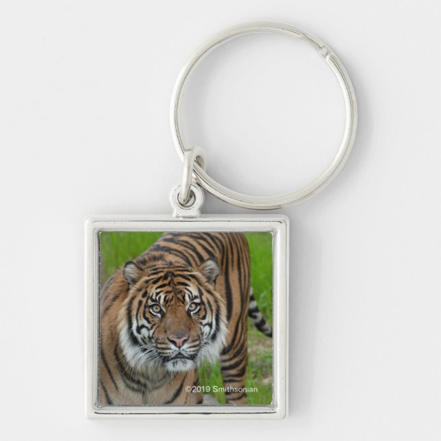 template keychain (Front)
