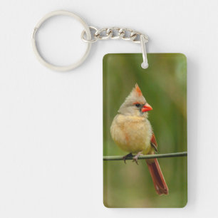 template keychain acrylic