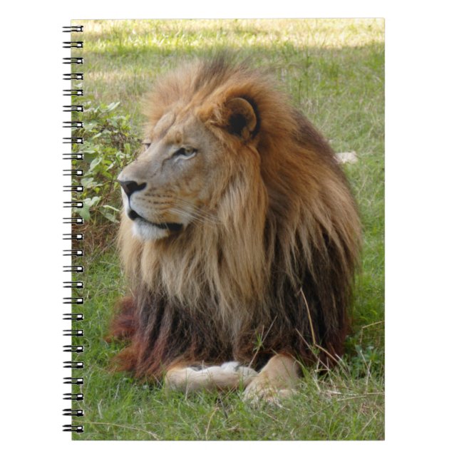 Template-Notebook (8x10) Notebook (Front)