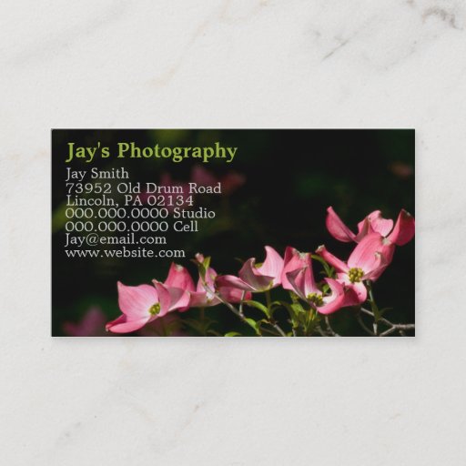 Customizable Template Photography Business Cards