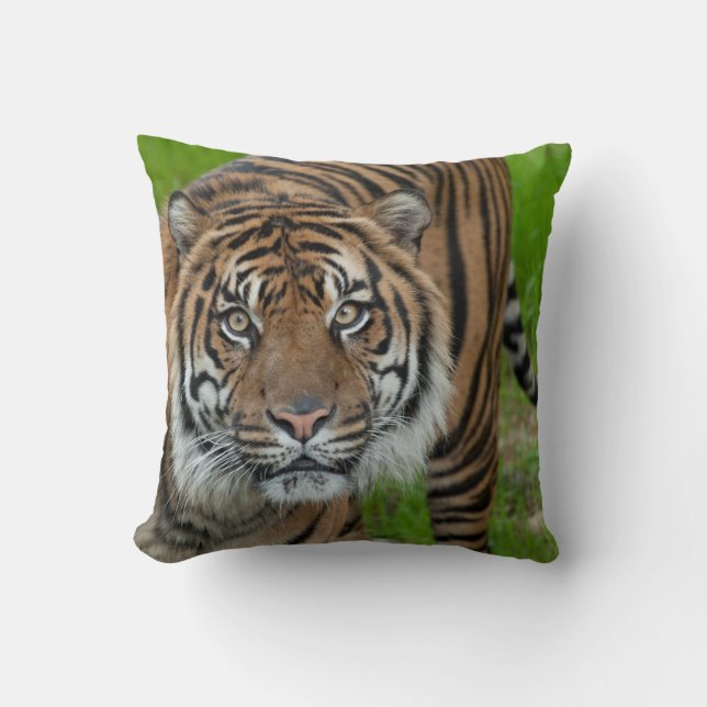 template throw pillow (Front)