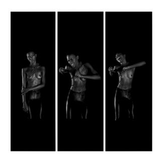 Template web ripping links triptych