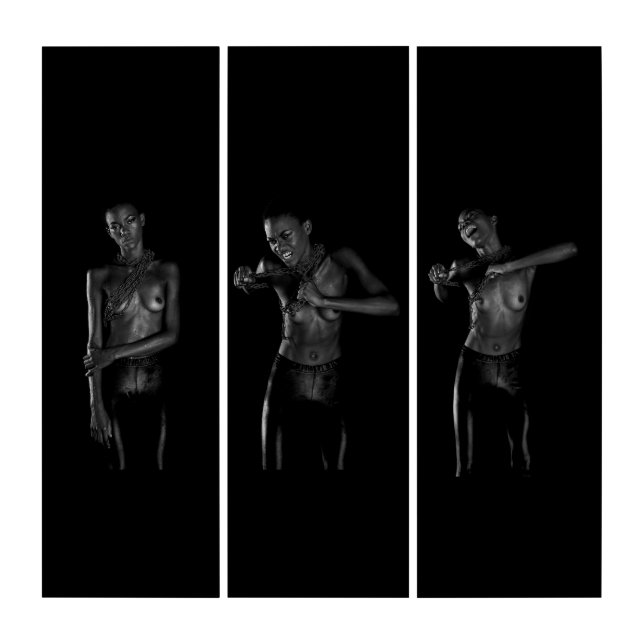 Template web ripping links triptych (Front)