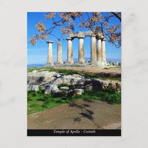 Temple of Apollo  Corinth Postcard