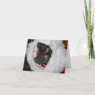 Templeton & Wilbur Christmas Holiday Card