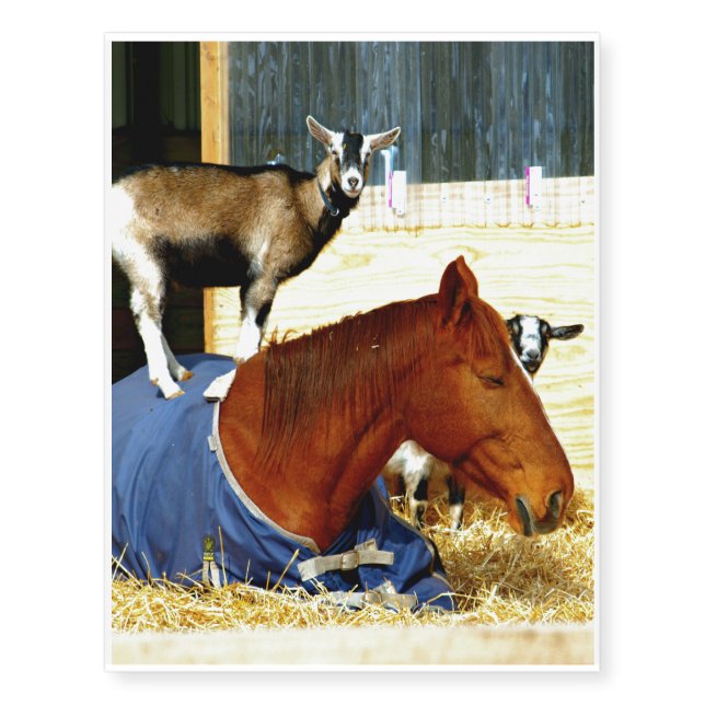 Temporary Tattoo of Funny Farm Animals (Front)