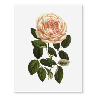 Temporary tattoo with Pink old Rose
