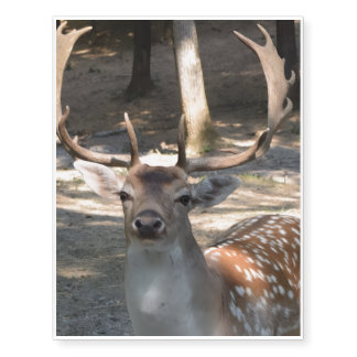 Temporary Tattoos Deer