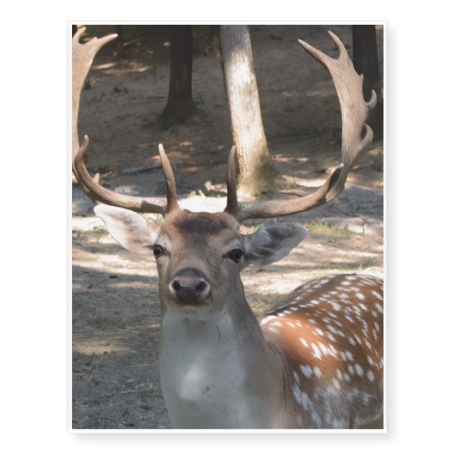 Temporary Tattoos Deer (Front)