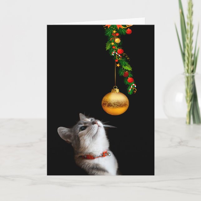 Tempted kitty cat Christmas Holiday Card (Front)