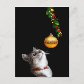 Tempted Kitty Cat Christmas Holiday Postcard by deemac2 at Zazzle