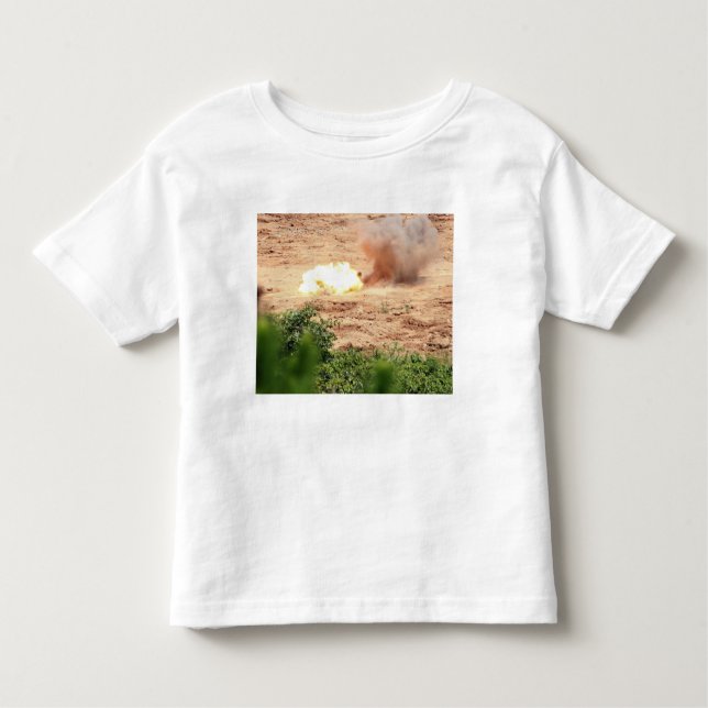 Ten half-pound blocks of TNT Toddler T-shirt (Front)