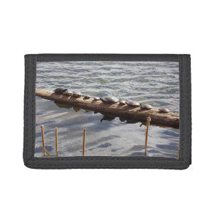 Ten Painter Turtles Photo Wallet