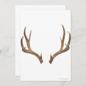 Ten Point Deer (Front/Back)