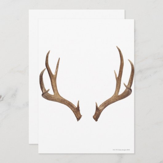 Ten Point Deer (Front/Back)