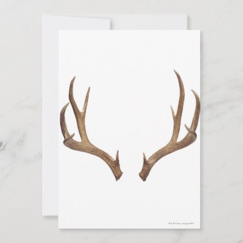 Ten Point Deer Custom Announcements