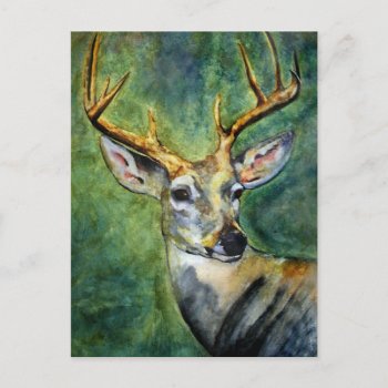 Ten Pointer (deer) Postcards by jaisjewels at Zazzle