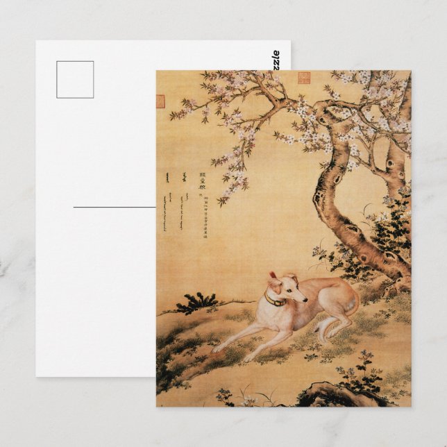Ten Prized Dogs - Shanxing Wolf(Chinese greyhound) Postcard (Front/Back)