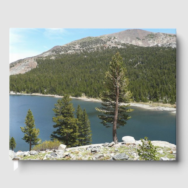 Tenaya Lake Guest Book (Front)