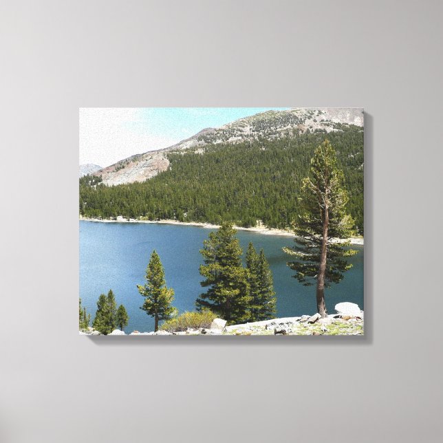 Tenaya Lake in Yosemite National Park Canvas Print (Front)
