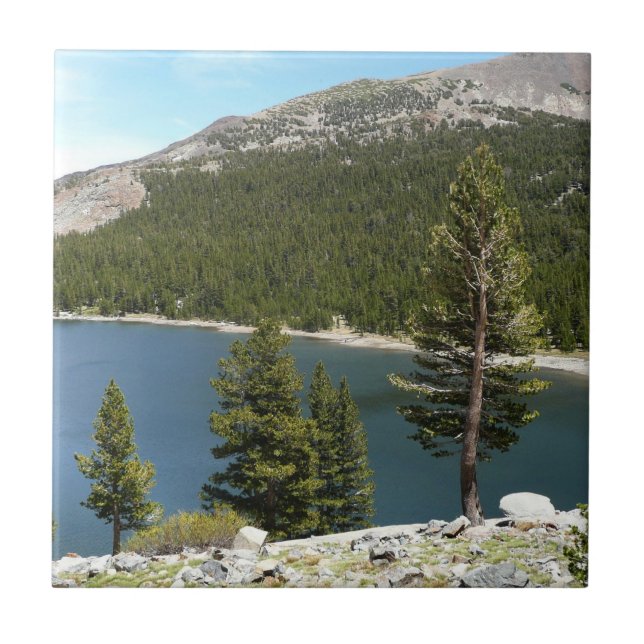 Tenaya Lake in Yosemite National Park Ceramic Tile (Front)