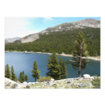 Tenaya Lake in Yosemite National Park Photo Print